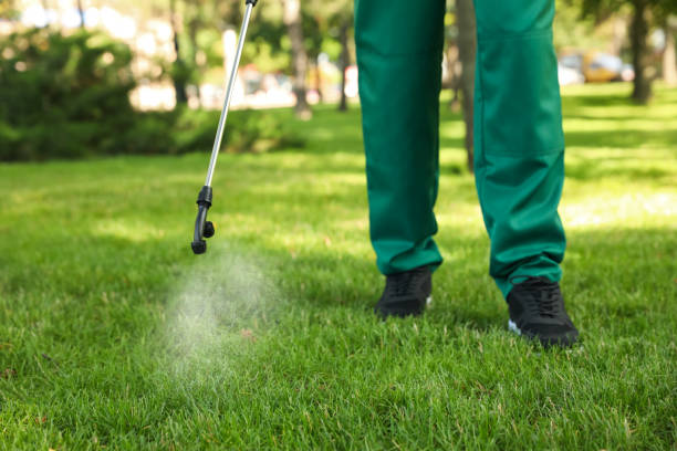 Best Pest Control Near Me in Buchanan, GA