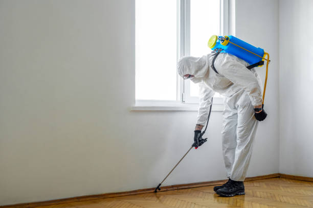 Best Pest Prevention Services  in Buchanan, GA