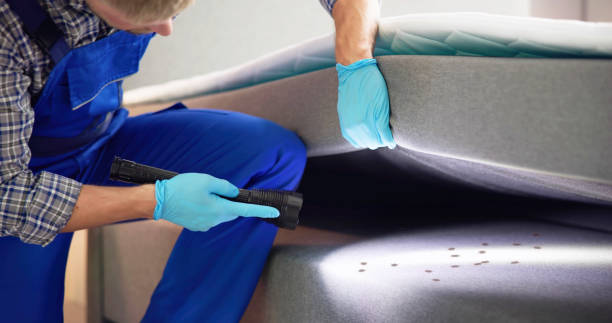 Reliable Buchanan, GA Pest Control Solutions