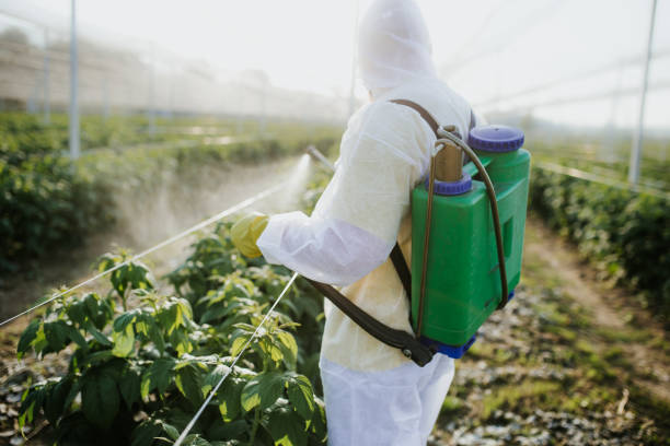 Best Ant Control Services  in Buchanan, GA